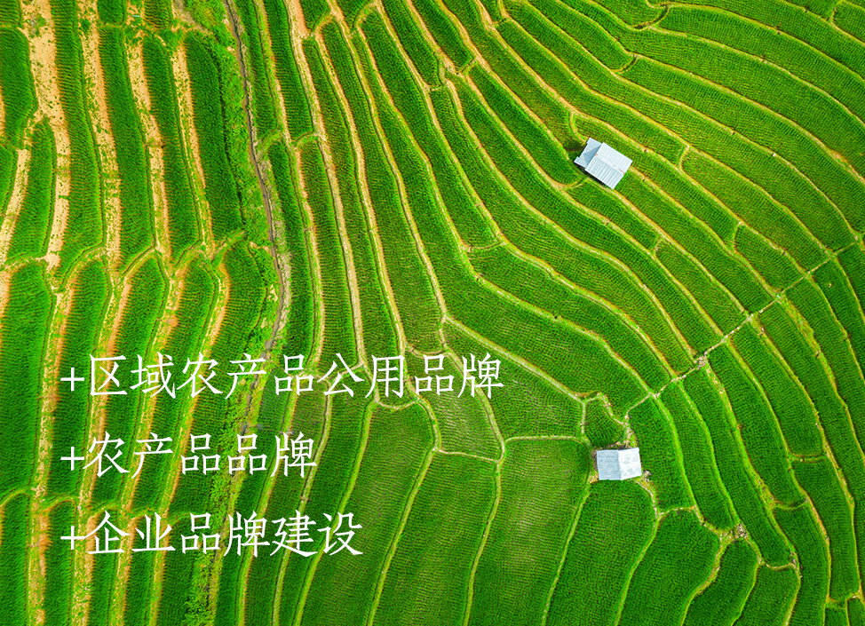 农业品牌设计