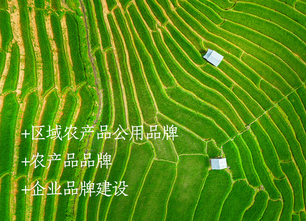 1715689973-首图1