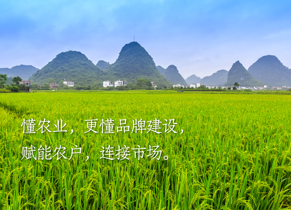 1715689974-首图3