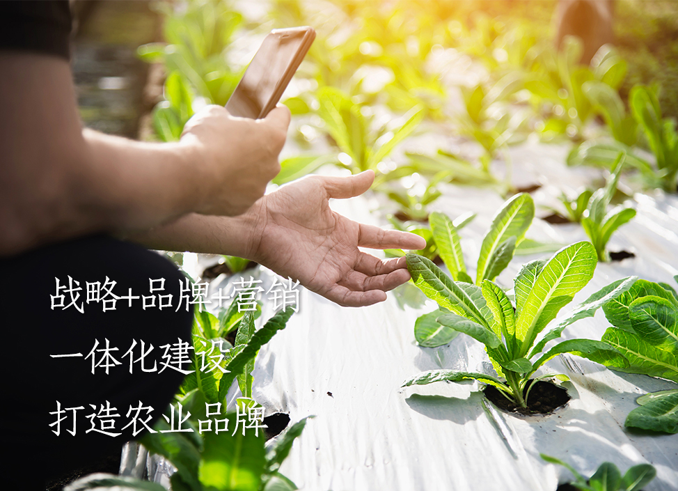 1715689975-首图2