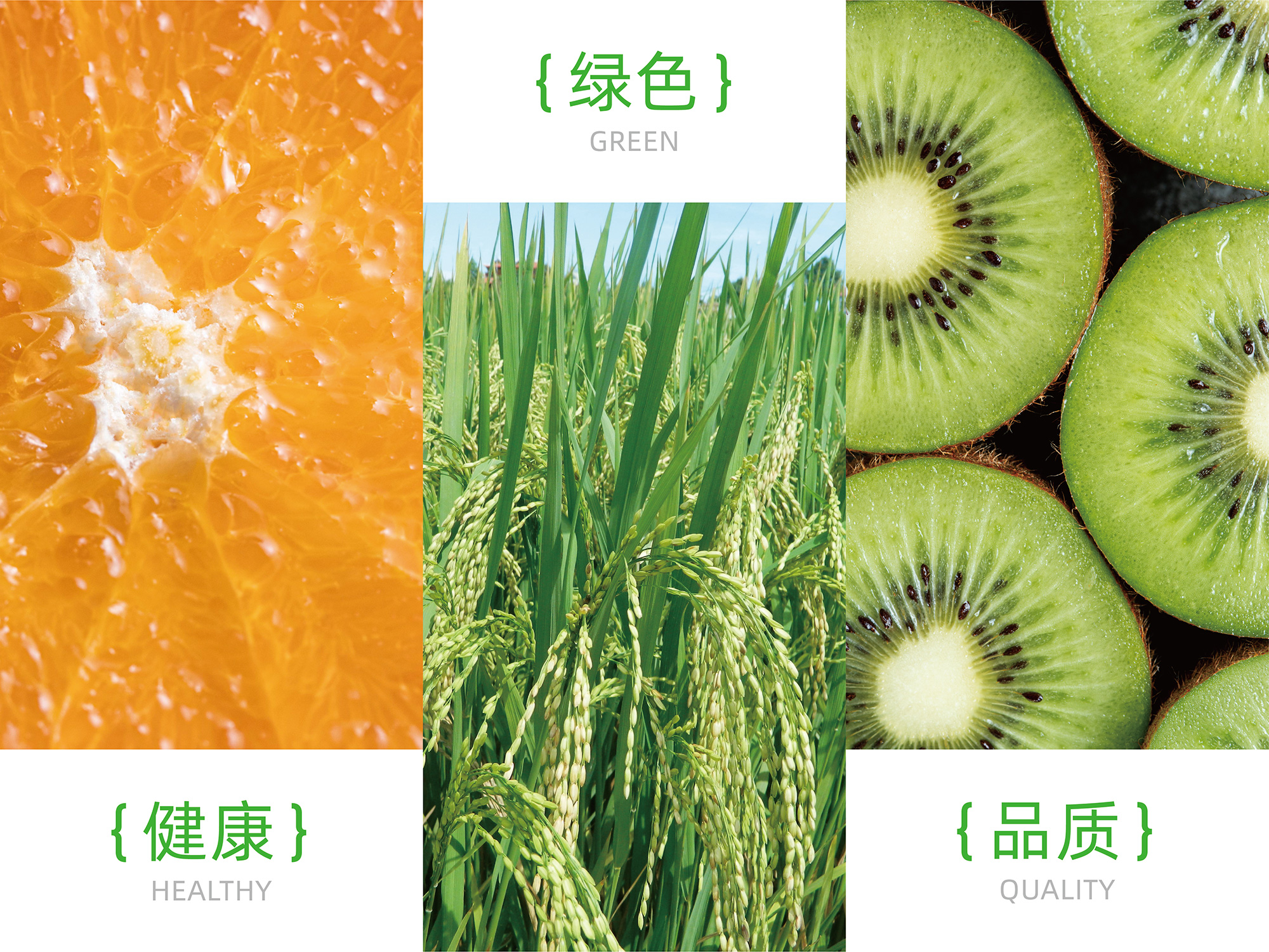 农小佳 江西农产品品牌设计案例应用图25