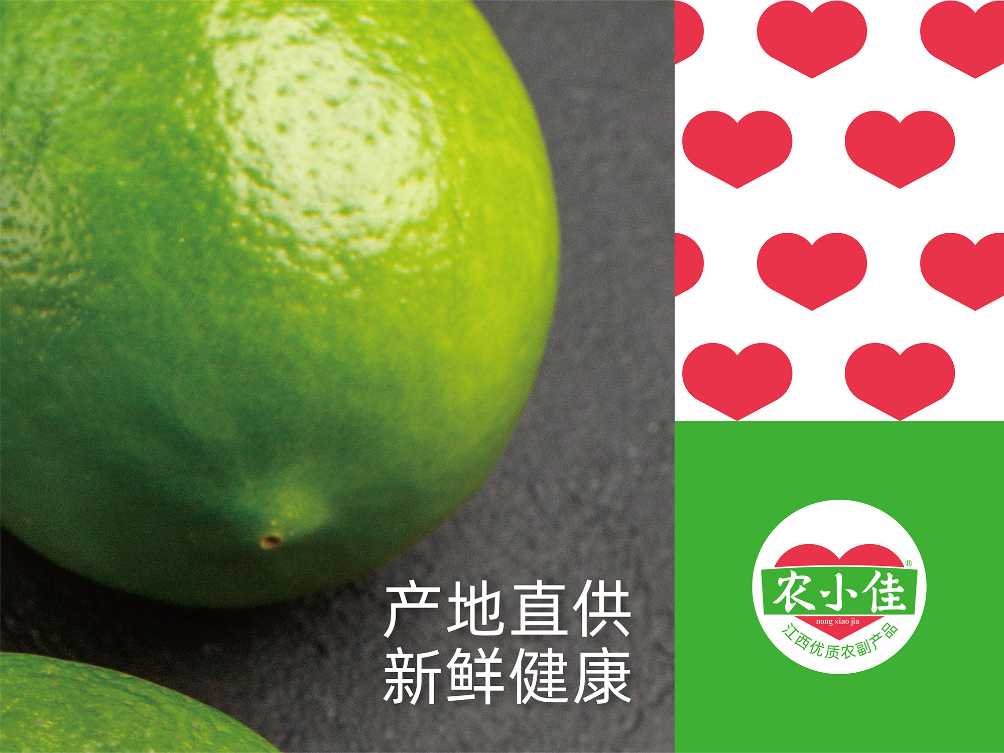 南昌包装设计、农产品包装设计、南昌农产品logo设计、农产品vi设计