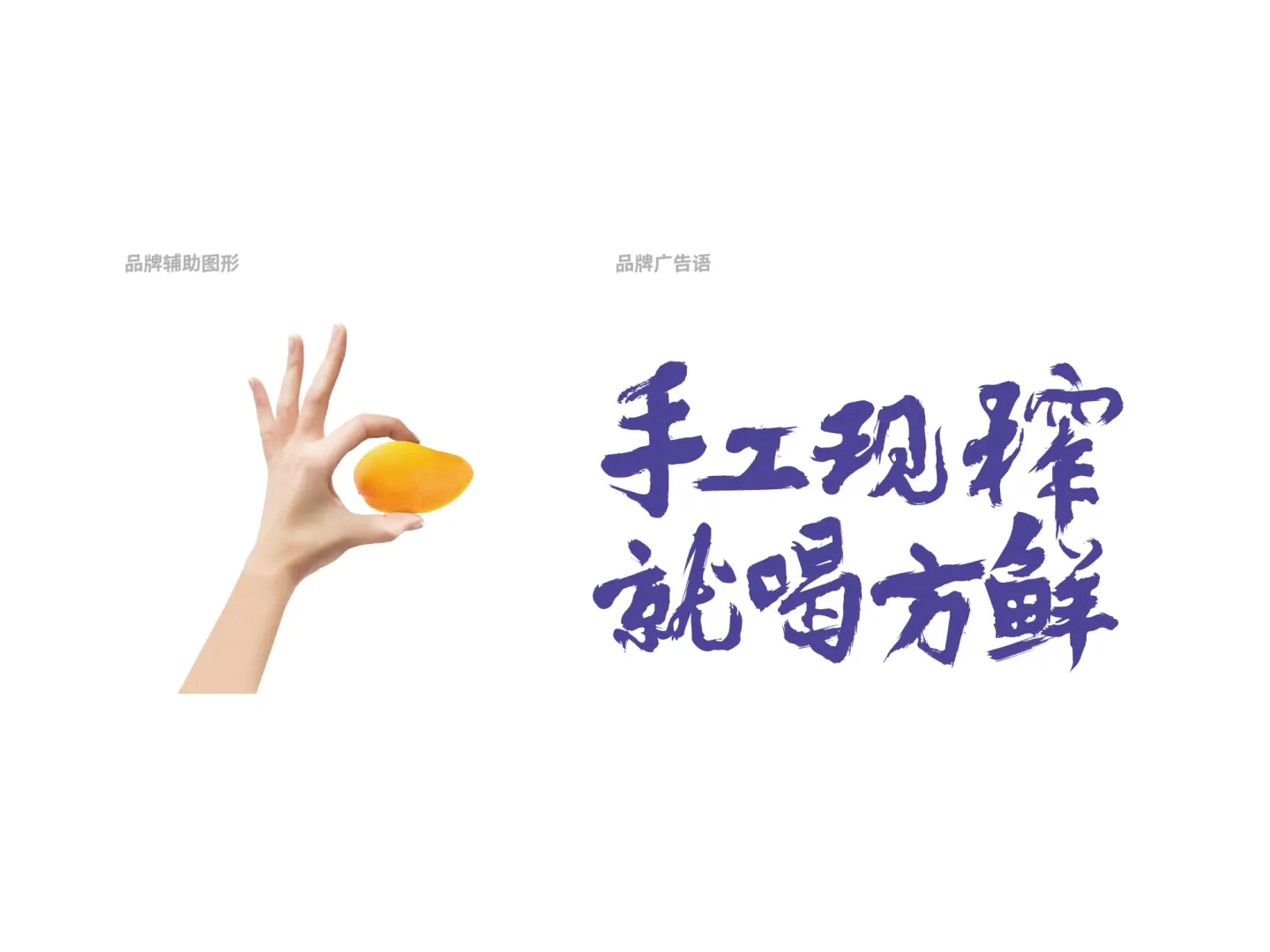 方鲜手工现榨饮品 品牌设计作品